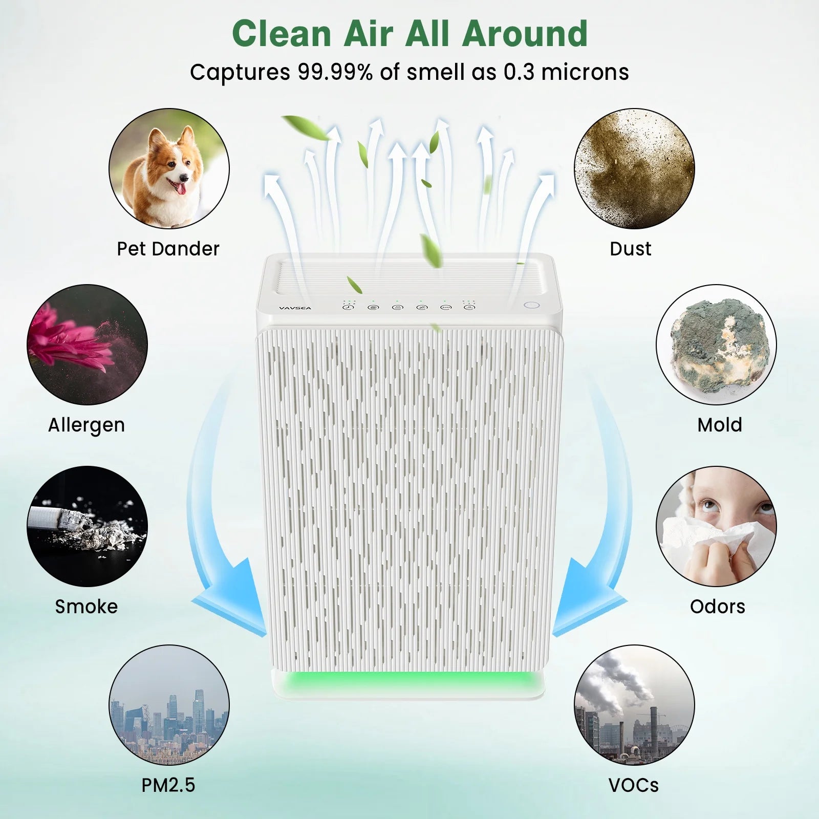 H13 True HEPA Air Purifier S1257